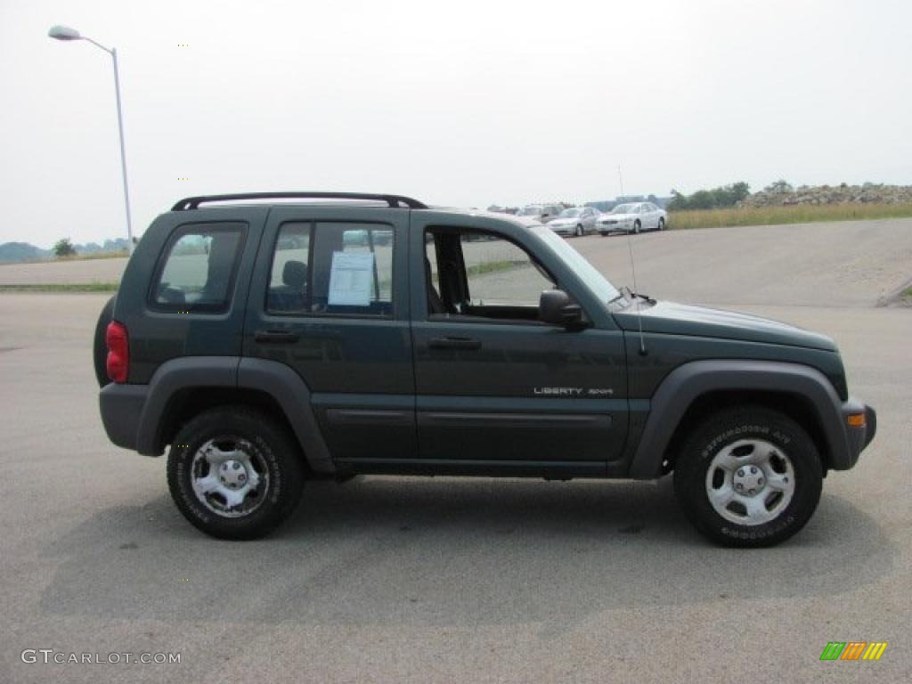 2003 Liberty Sport 4x4 - Shale Green Metallic / Dark Slate Gray photo #12