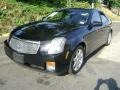 Sable Black - CTS Sedan Photo No. 4