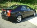 Sable Black - CTS Sedan Photo No. 5