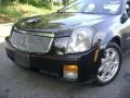 Sable Black - CTS Sedan Photo No. 17