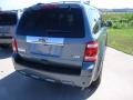 2010 Steel Blue Metallic Ford Escape Limited V6 4WD  photo #4