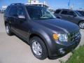 2010 Sterling Grey Metallic Ford Escape XLT 4WD  photo #1