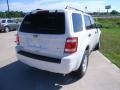 2010 White Suede Ford Escape XLT V6 4WD  photo #4