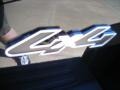 2010 Black Ford Explorer XLT 4x4  photo #5