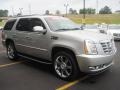 2010 Silver Lining Cadillac Escalade Luxury AWD  photo #2