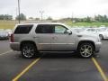 2010 Silver Lining Cadillac Escalade Luxury AWD  photo #3