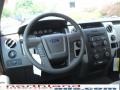 2010 Tuxedo Black Ford F150 XLT SuperCrew 4x4  photo #14