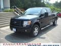 2010 Tuxedo Black Ford F150 FX4 SuperCrew 4x4  photo #2