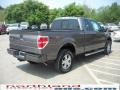 2010 Sterling Grey Metallic Ford F150 STX SuperCab 4x4  photo #6