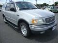 Silver Metallic - Expedition XLT Photo No. 7