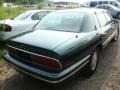 Polo Green Metallic - Park Avenue  Photo No. 2