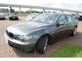 2008 Titanium Grey Metallic BMW 7 Series 750Li Sedan  photo #18