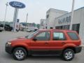 2007 Blazing Copper Metallic Ford Escape XLS 4WD  photo #2