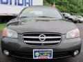 Gray Lustre Metallic - Maxima GLE Photo No. 16