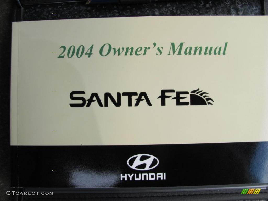 2004 Santa Fe LX 4WD - Merlot Red / Gray photo #12