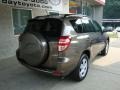 2010 Pyrite Metallic Toyota RAV4 I4 4WD  photo #2