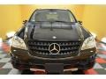 Black - ML 350 4Matic Photo No. 2