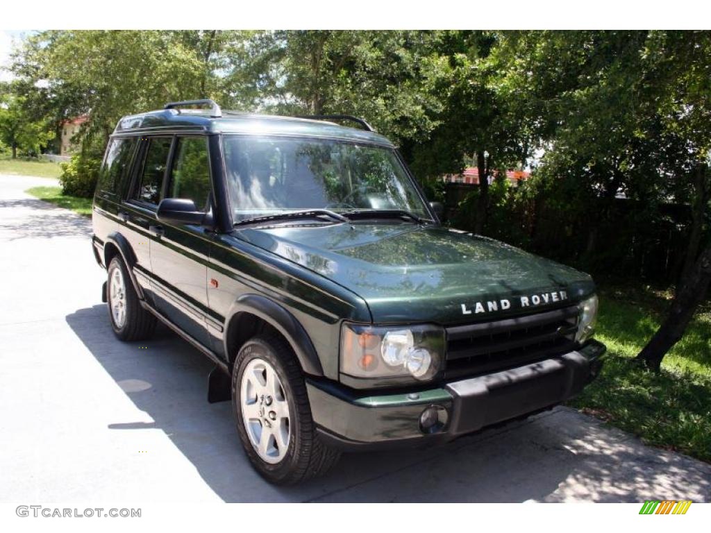 2003 Discovery HSE - Epsom Green / Alpaca Beige photo #15