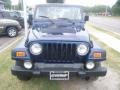 2002 Patriot Blue Pearl Jeep Wrangler Sport 4x4  photo #8