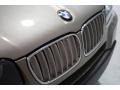 Platinum Bronze Metallic - X3 3.0si Photo No. 57