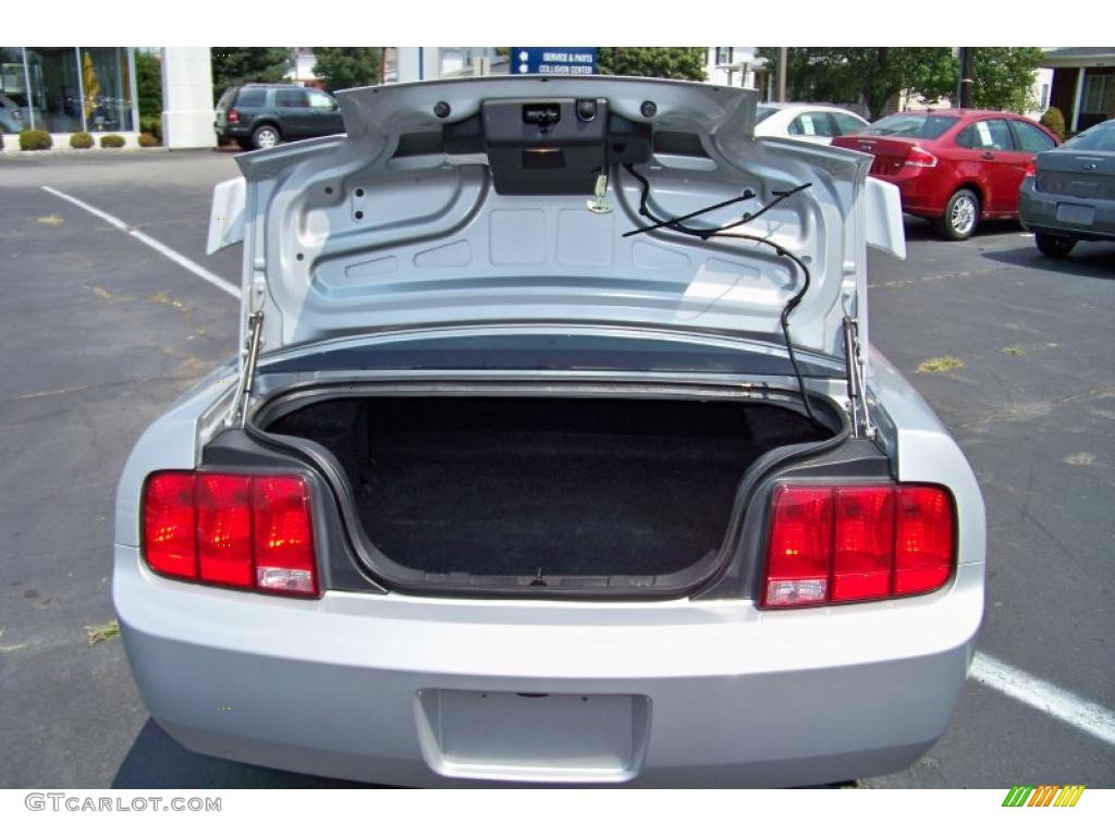 2005 Mustang V6 Premium Coupe - Satin Silver Metallic / Dark Charcoal photo #19