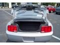 Satin Silver Metallic - Mustang V6 Premium Coupe Photo No. 19