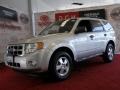 2009 Brilliant Silver Metallic Ford Escape XLT  photo #1