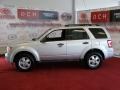 2009 Brilliant Silver Metallic Ford Escape XLT  photo #4