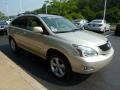 2008 Savannah Metallic Lexus RX 350  photo #6