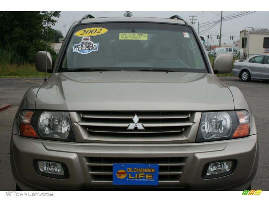 2002 Montero Limited 4x4 - Sudan Beige Metallic / Tan photo #6
