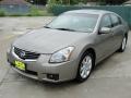 2008 Pebble Beach Metallic Nissan Maxima 3.5 SL  photo #7