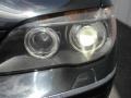 2008 Black Sapphire Metallic BMW 7 Series 750Li Sedan  photo #54