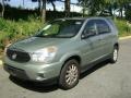 Sagemist Metallic 2006 Buick Rendezvous CXL