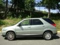 2006 Sagemist Metallic Buick Rendezvous CXL  photo #3