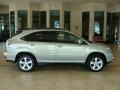 Bamboo Green Pearl - RX 350 AWD Photo No. 1