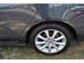 Carbon Gray Pearl - RDX  Photo No. 20
