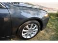 Carbon Gray Pearl - RDX  Photo No. 22