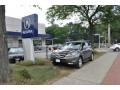 Nimbus Gray Metallic - MDX Technology Photo No. 1