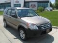 Sahara Sand Metallic - CR-V LX Photo No. 1