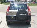 Sahara Sand Metallic - CR-V LX Photo No. 4