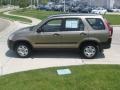Sahara Sand Metallic - CR-V LX Photo No. 6