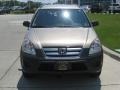 Sahara Sand Metallic - CR-V LX Photo No. 8