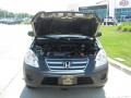 Sahara Sand Metallic - CR-V LX Photo No. 13