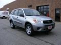 Titanium Metallic - RAV4 4WD Photo No. 1