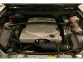 Light Platinum - SRX V6 Photo No. 21