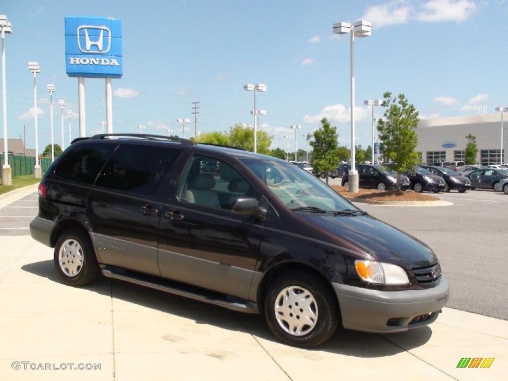 2001 Sienna LE - Black Walnut Pearl / Oak photo #3