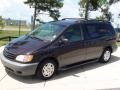 2001 Black Walnut Pearl Toyota Sienna LE  photo #12