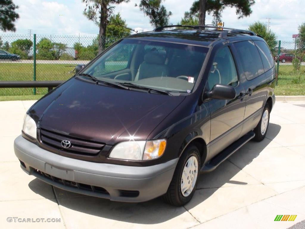 2001 Sienna LE - Black Walnut Pearl / Oak photo #13