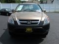 2003 Mojave Mist Metallic Honda CR-V EX 4WD  photo #4