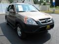 2003 Mojave Mist Metallic Honda CR-V EX 4WD  photo #5